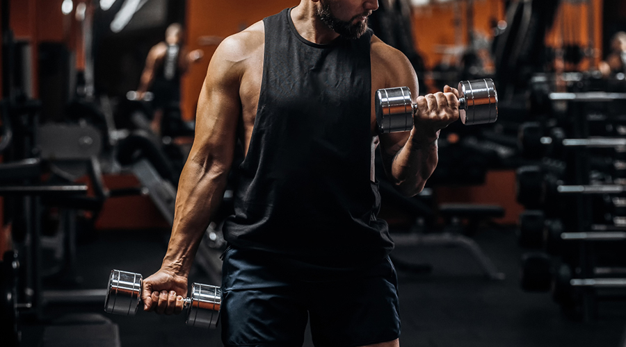 Strength Training Equipment: Assisting Home Fitness and Shaping a Healthy Physique