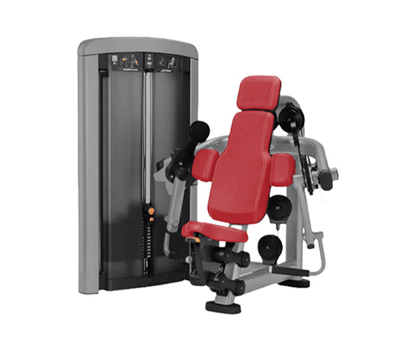 L1006 / Biceps Curl Machine