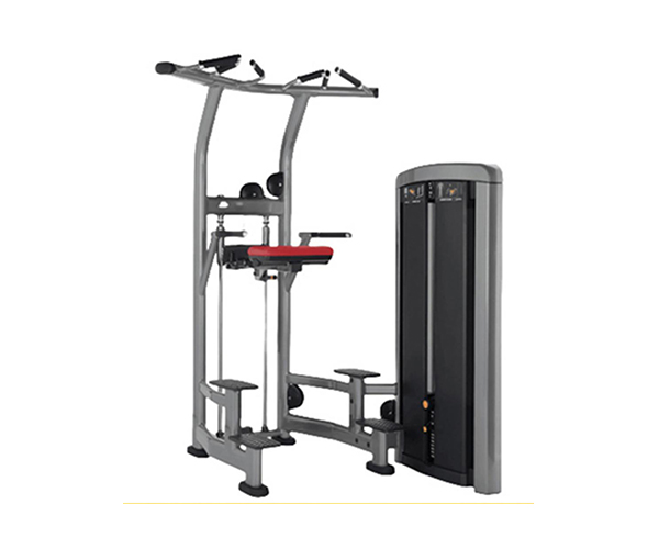 L0607/ Biceps & Triceps Combo Machine