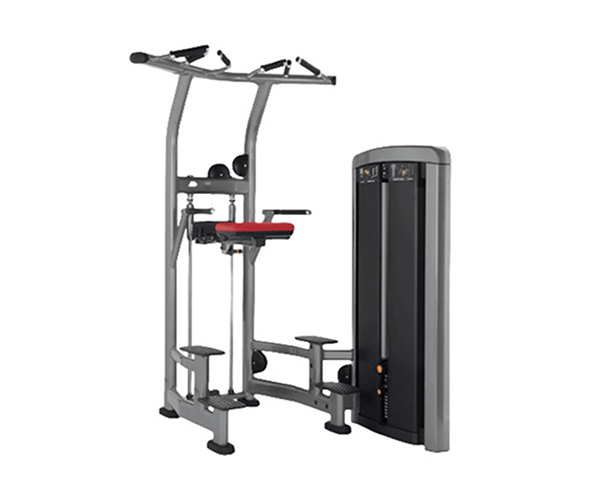 L1008 / Upper Body Flexion & Extension Trainer