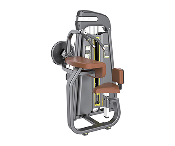 B8008 / Triceps Extension Machine