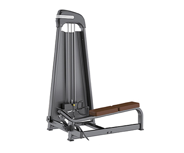 B8011 / Low Row Machine