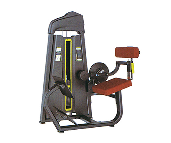 B8015 / Seated Back Machine