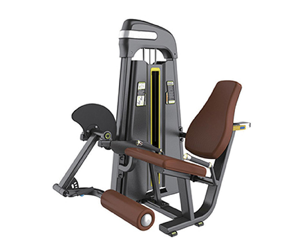 B8019 / Seated Leg Extension Machine
