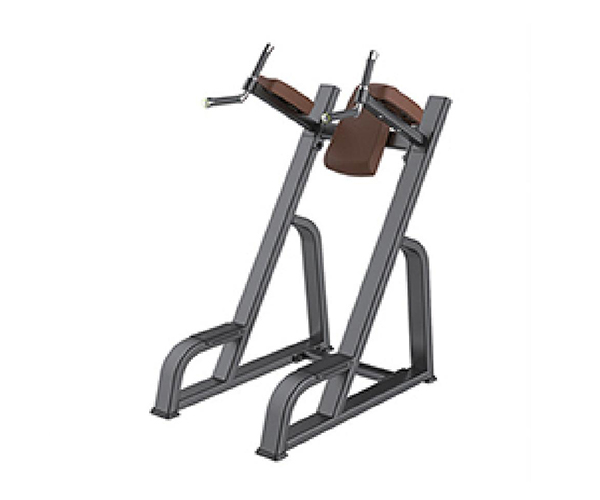 B8037 / Parallel Bar Knee Raise