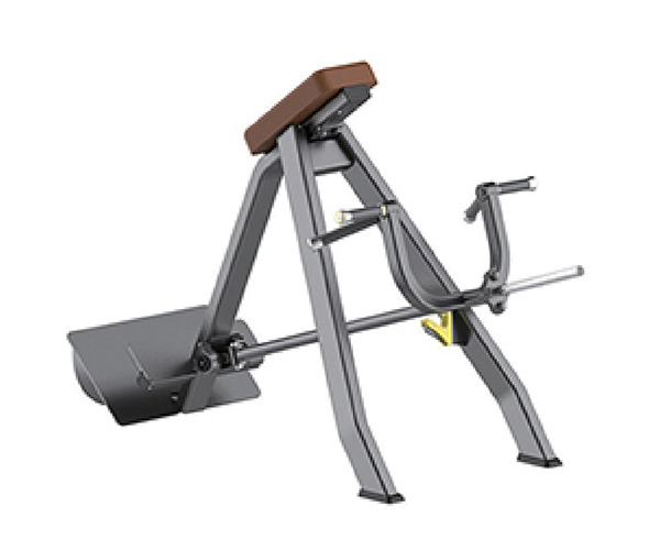 B8038 / Incline Rowing Machine