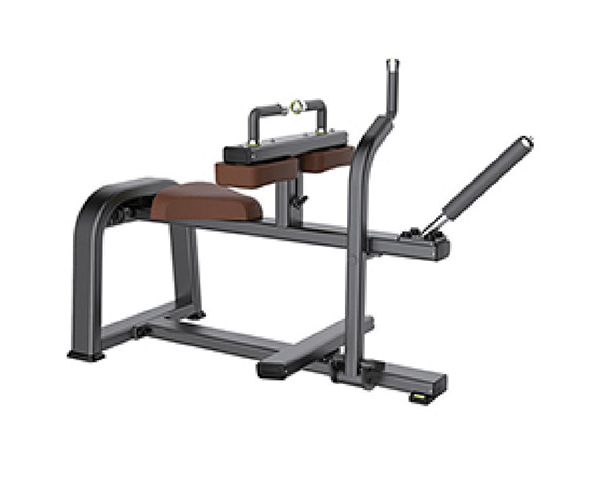 B8039 / Seated Calf Raise Machine
