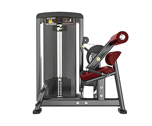 L0910 / Integrated Back & Abdominal Trainer