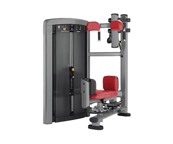 L1011 / Kneeling Torso Rotation Trainer