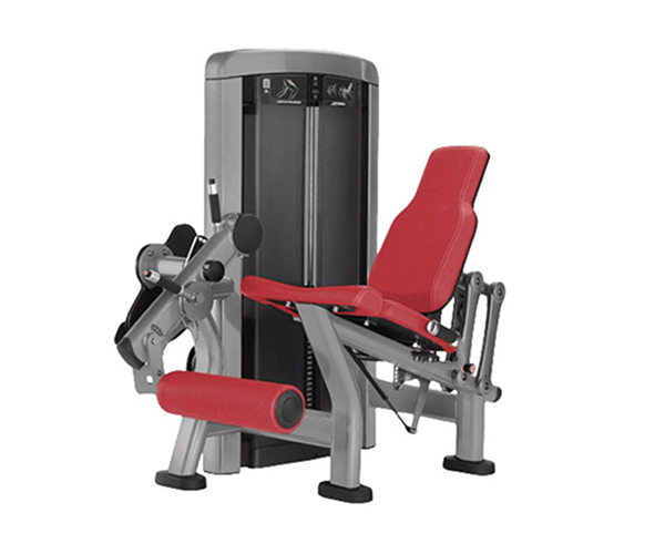 L1013 / Seated Leg Curl Machine
