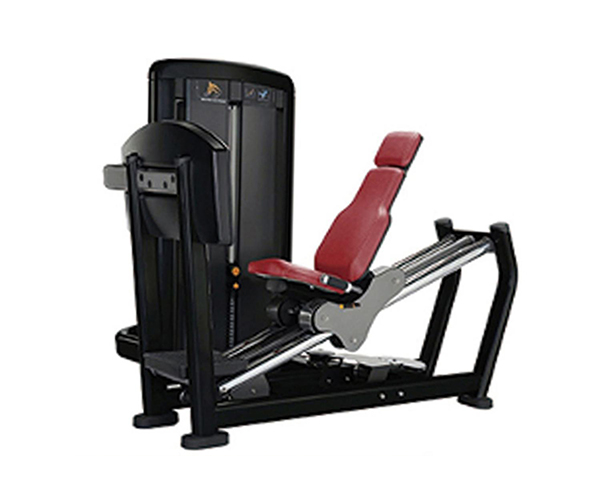 L1015 / Seated Leg Press Machine