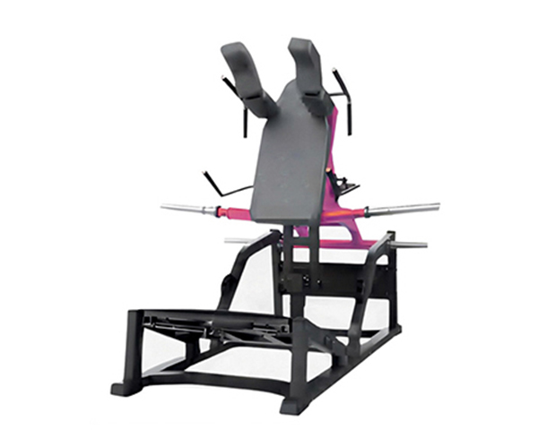 G1001 / Bi-directional Squat Machine