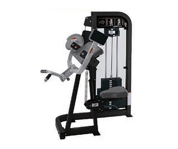 H2006 / Biceps Curl Machine