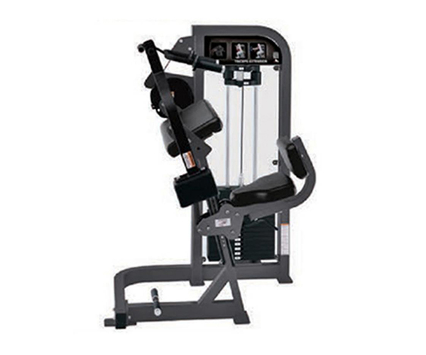 H2007 / Triceps Extension Machine