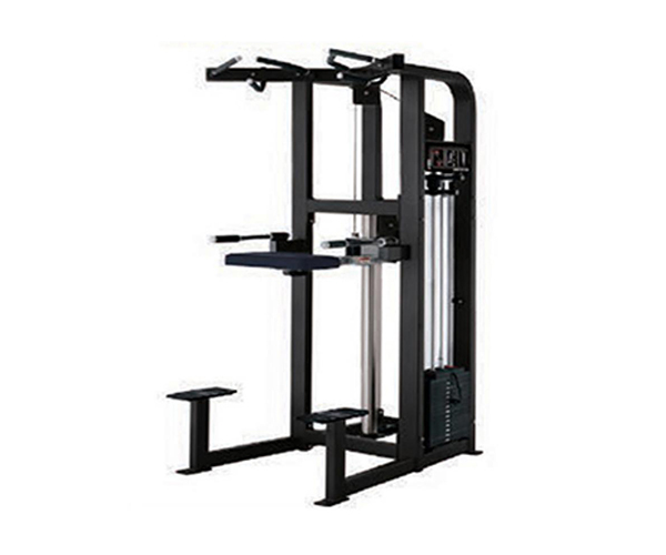 H2008 / Assisted Pull-up Machine