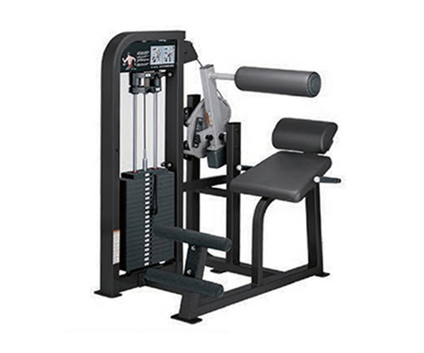 H2010 / Back Extension Machine