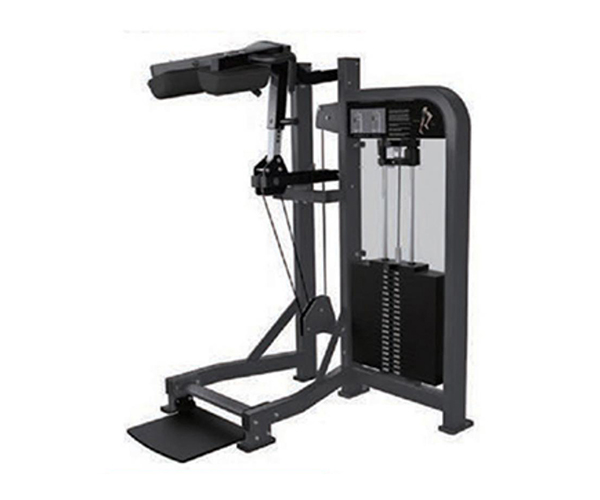 H2017 / Standing Calf Raise Machine