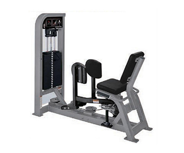 H2019 / Outer Thigh Machine