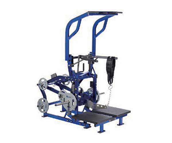 H1030 / Plate-Loaded Belt Squat & Pull-Up Machine