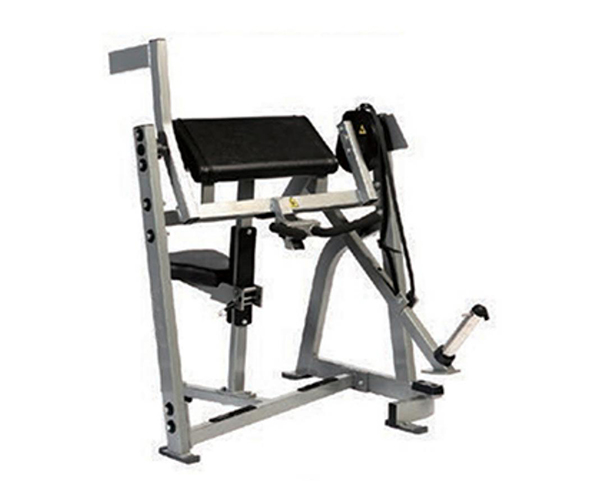 H1035 / Seated Biceps Curl Machine