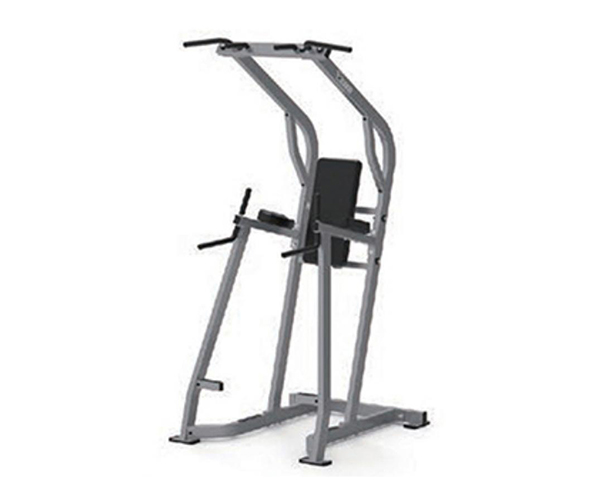 H1050 / Pull-Up, Dip, and Leg Raise Station